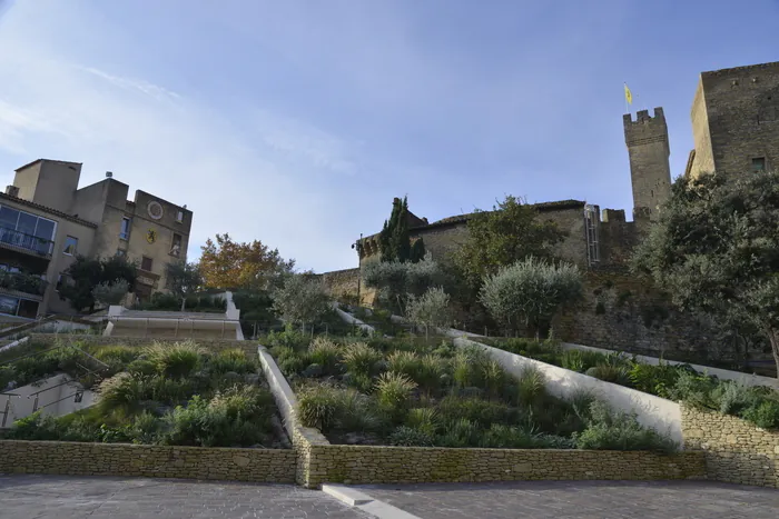 Visite commentée du château Château de l'Emperi Salon-de-Provence