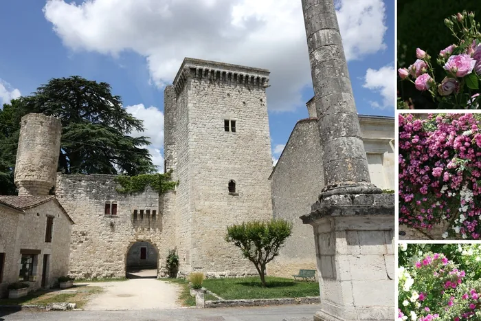 Visite libre : « Tout en haut du donjon ! » Château d'Eymet Eymet