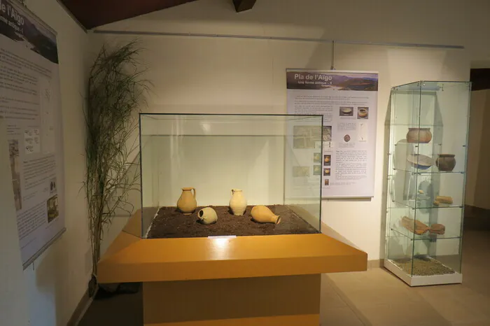 Visite guidée du musée et de l'exposition : « La Vallée engloutie » Château-musée de Bélesta