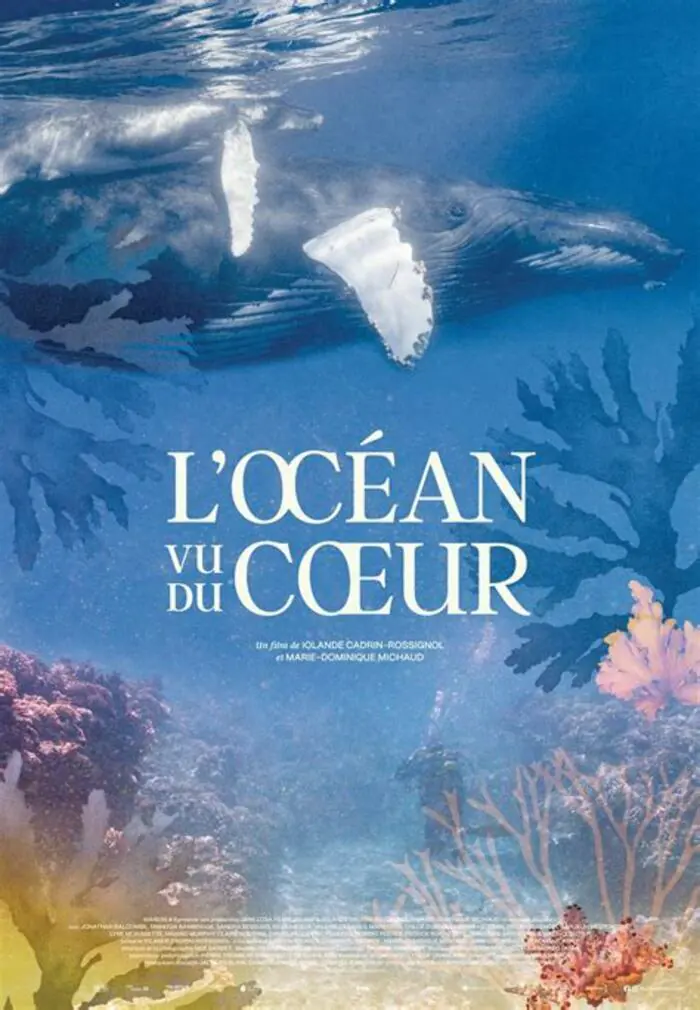 Projection du documentaire L'océan vu du coeur débat- rencontre avec le biologiste Christian Sardet