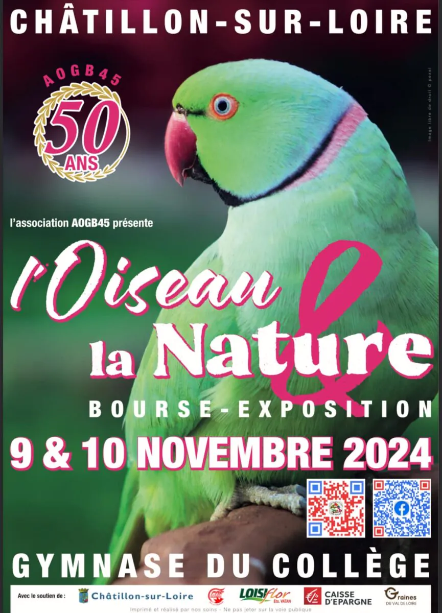 Bourse aux oiseaux à Châtillon-sur-Loire