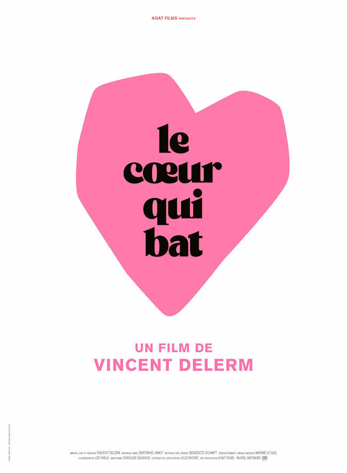 [Rencontre] VINCENT DELERM Cinéma du TNB Rennes