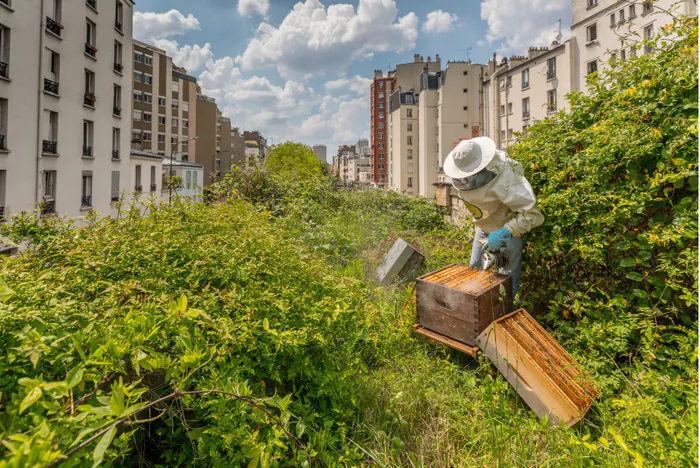 Voyage au cœur de l'apiculture urbaine - Balade culinaire et éducative CityBzz Paris