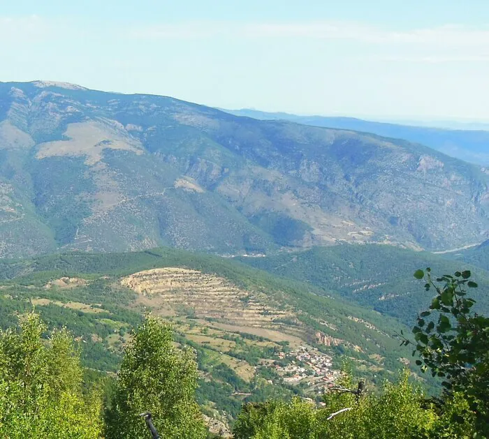 Balade-patrimoine : « Le peuplement de pins de Salzmann du Conflent » Commune d'Escaro Escaro