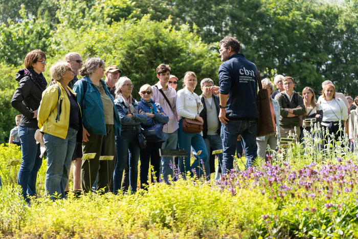 Des jardins remarquables pour fêter le patrimoine ! Conservatoire botanique national de Bailleul Bailleul