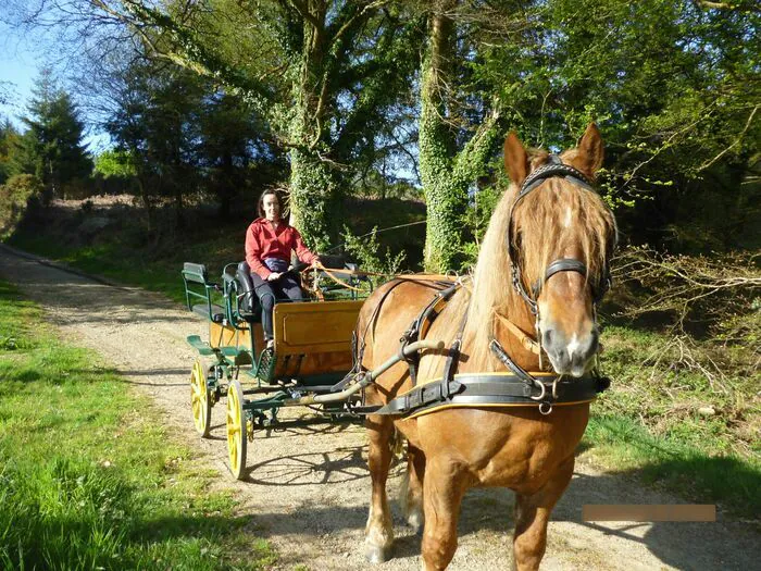 Fouette cocher ! au Domaine de Trévarez Domaine de Trevarez Saint Goazec