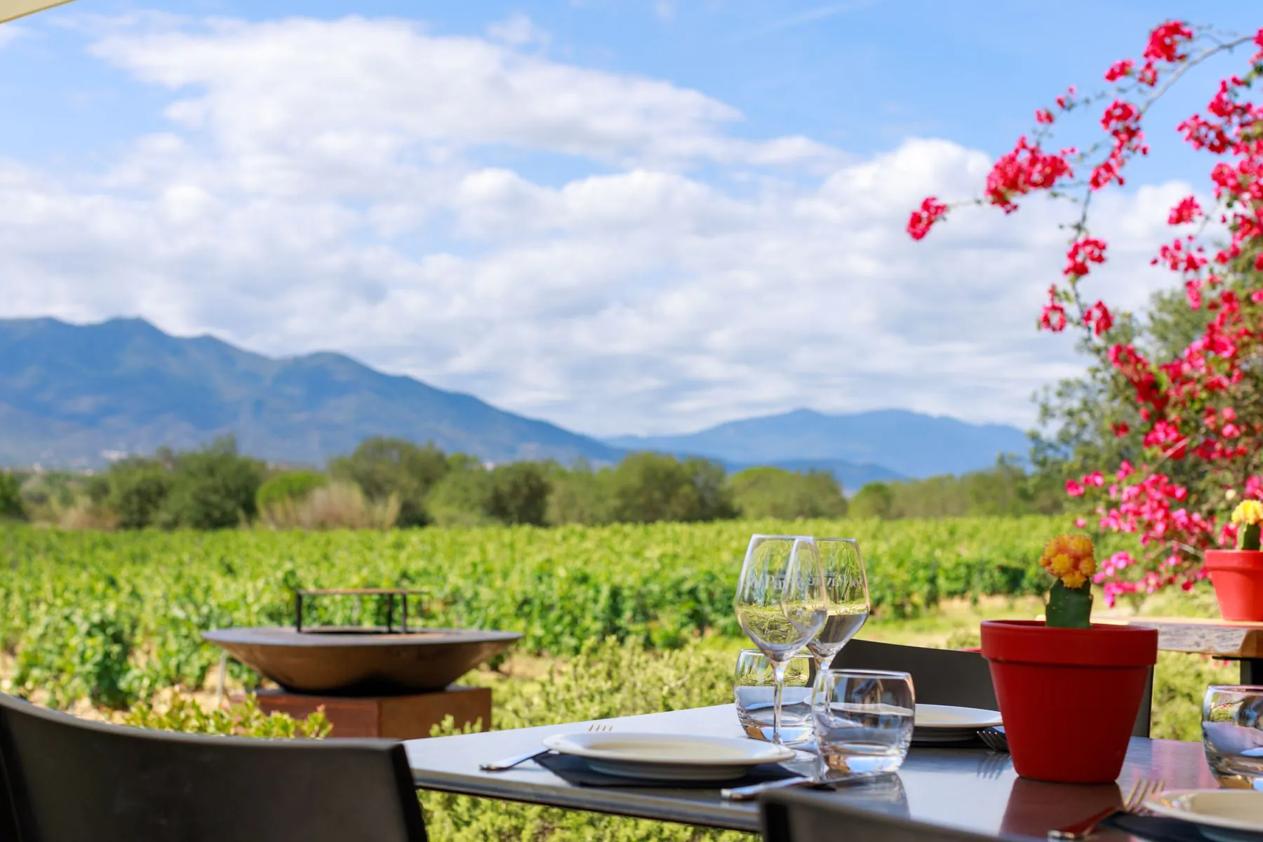 DOMAINE SOL PAYRE DECOUVERTE DU SECRET DU METIER DE VIGNERON