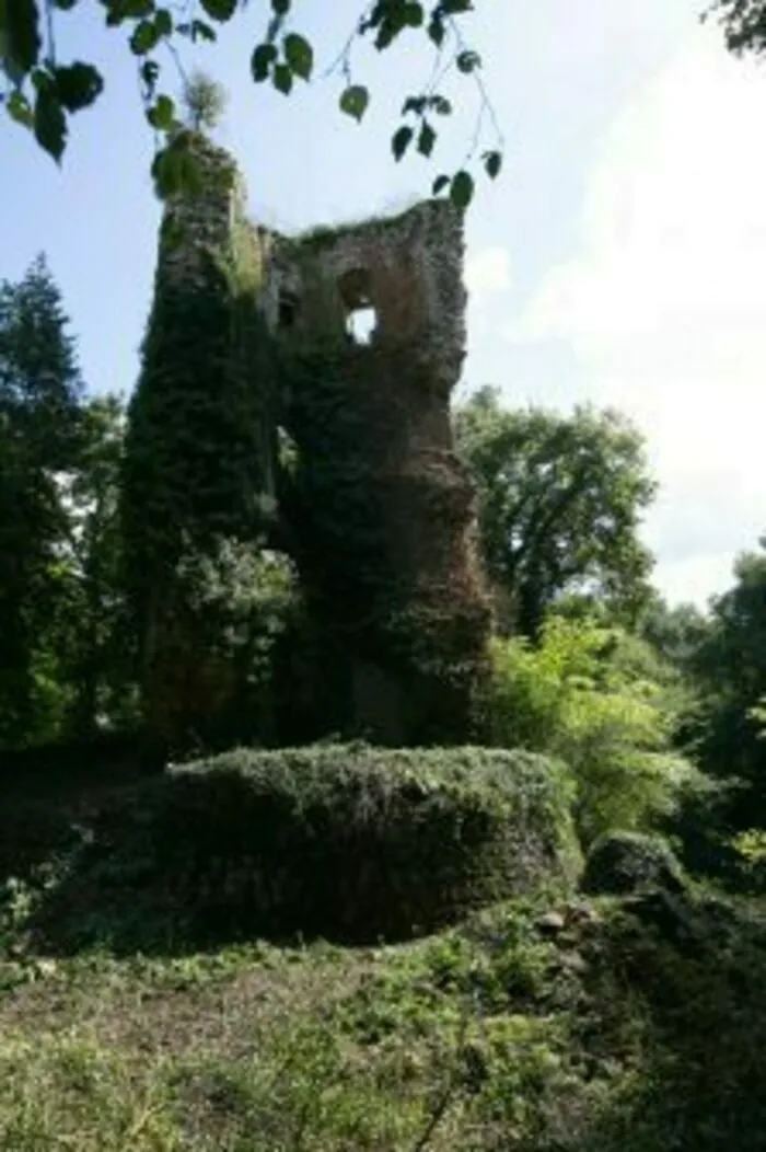 Château de Derval - Tour Saint-Clair Espace Emilie Chérel