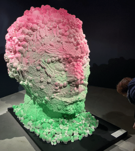 Expo Jardin des Hespérides