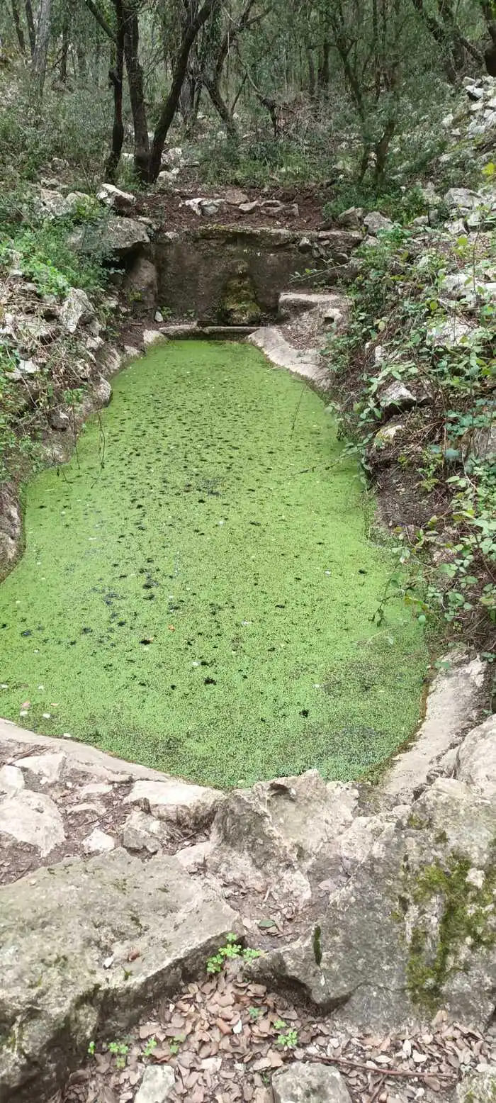 Action de réhabilitation d'une fontaine Fontaine des Beaumions - Cabrières d'Avignon Cabrières-d'Avignon