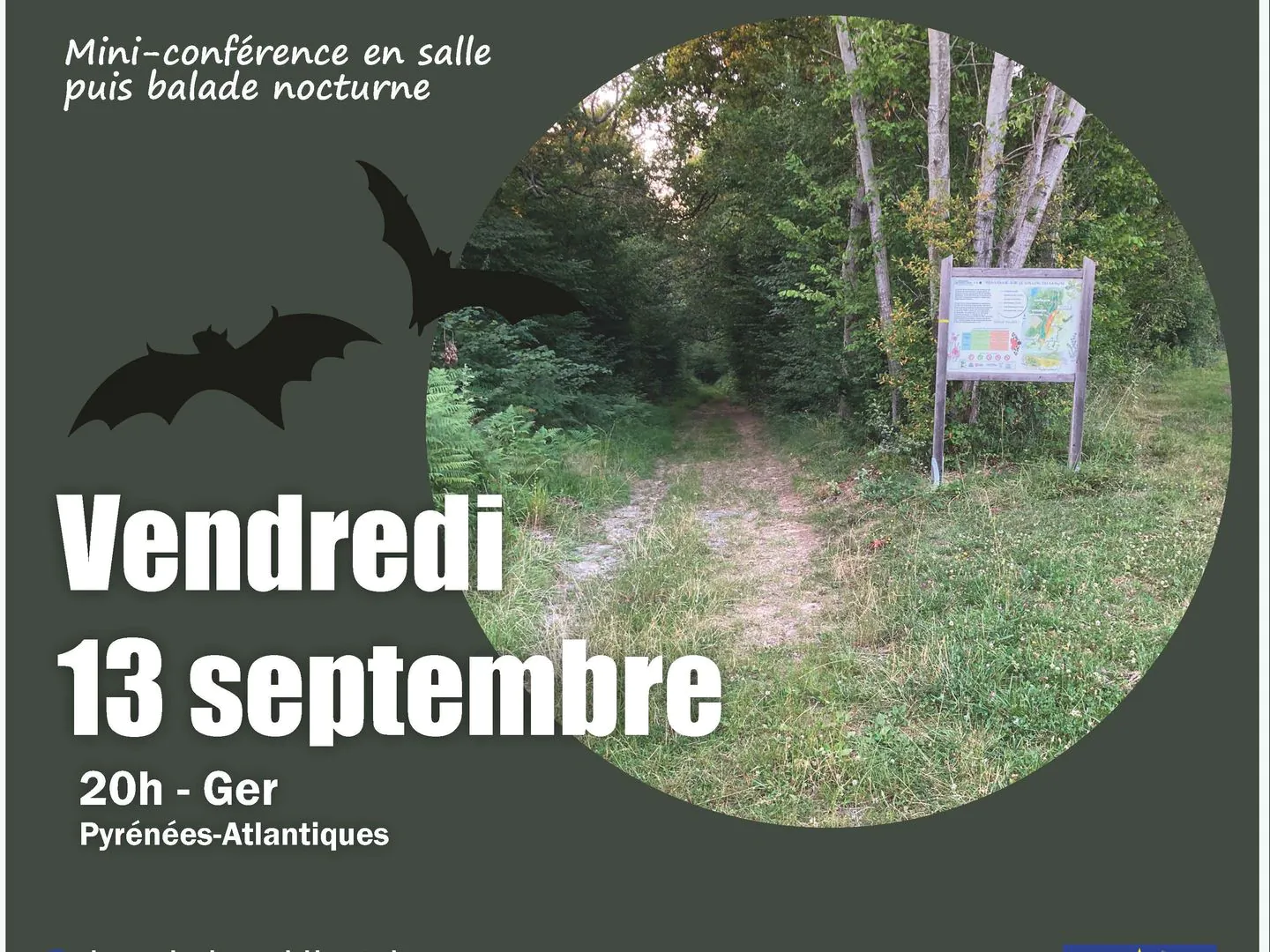 Découverte de la biodiversite nocturne du vallon du Manas