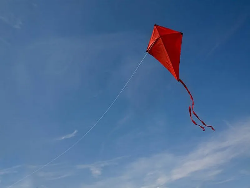 Cours de pilotage de cerf-volant