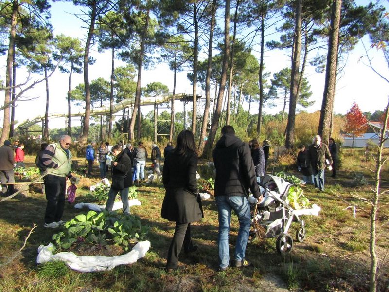 La journée Verte