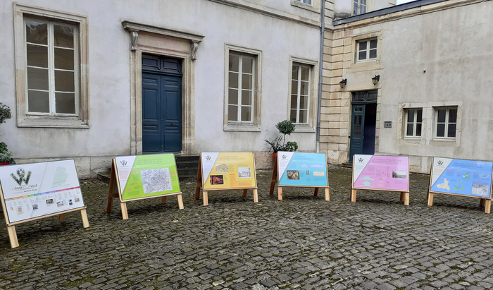 Exposition « La vigne et la ville » à l’hôtel Despringles Hôtel Despringles