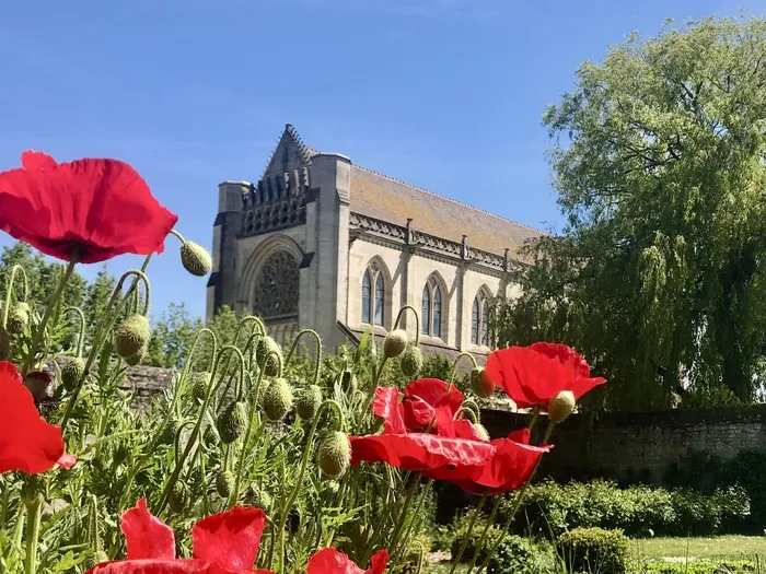 Visite guidée : les jardins d'Ardenne au fil des saisons