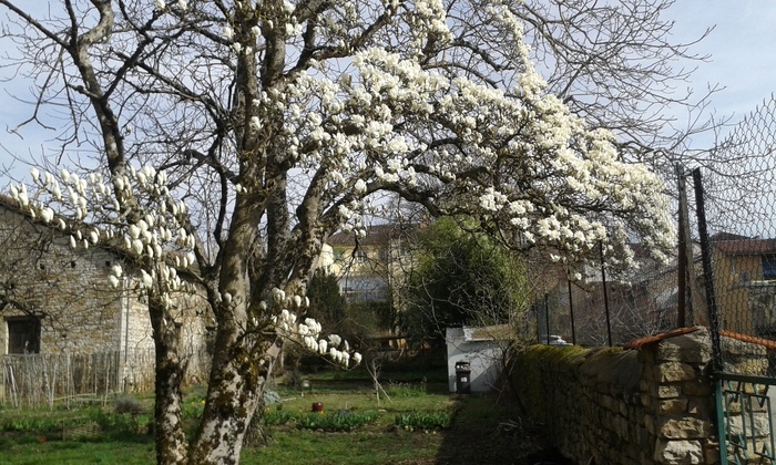 Exposition « Sérendipité » au jardin de la Brèche Jardin de la Brèche Saint-Amour