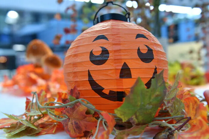 Décor d'Halloween jardin des plantes Lille