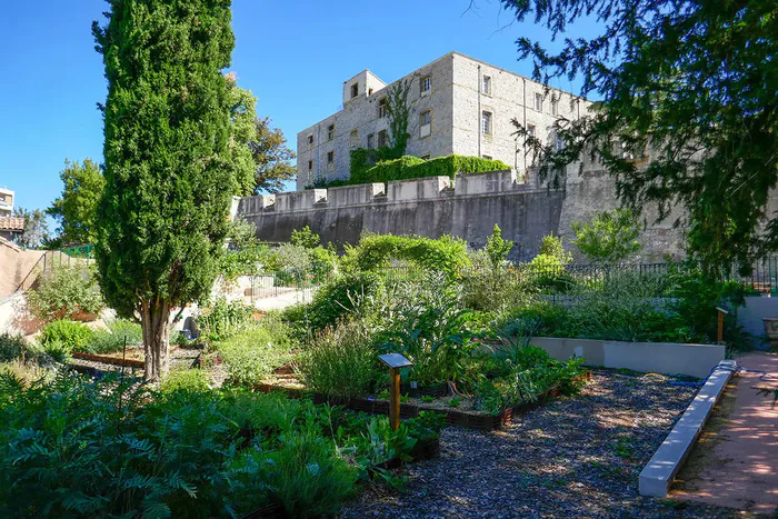 Spectacle d'improvisation ! Jardin ethnobotanique et d’acclimatation « Les terrasses du Bosquet » Alès