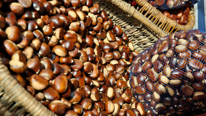 Castagnade Jardins ethnobotaniques de La Gardie Rousson