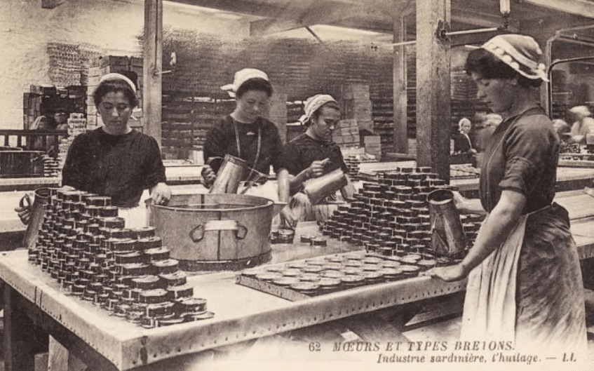 la révolte des sardinières 