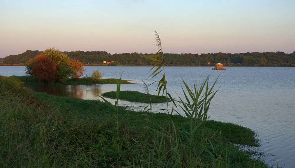 Projection documentaire "L'appel des libellules"