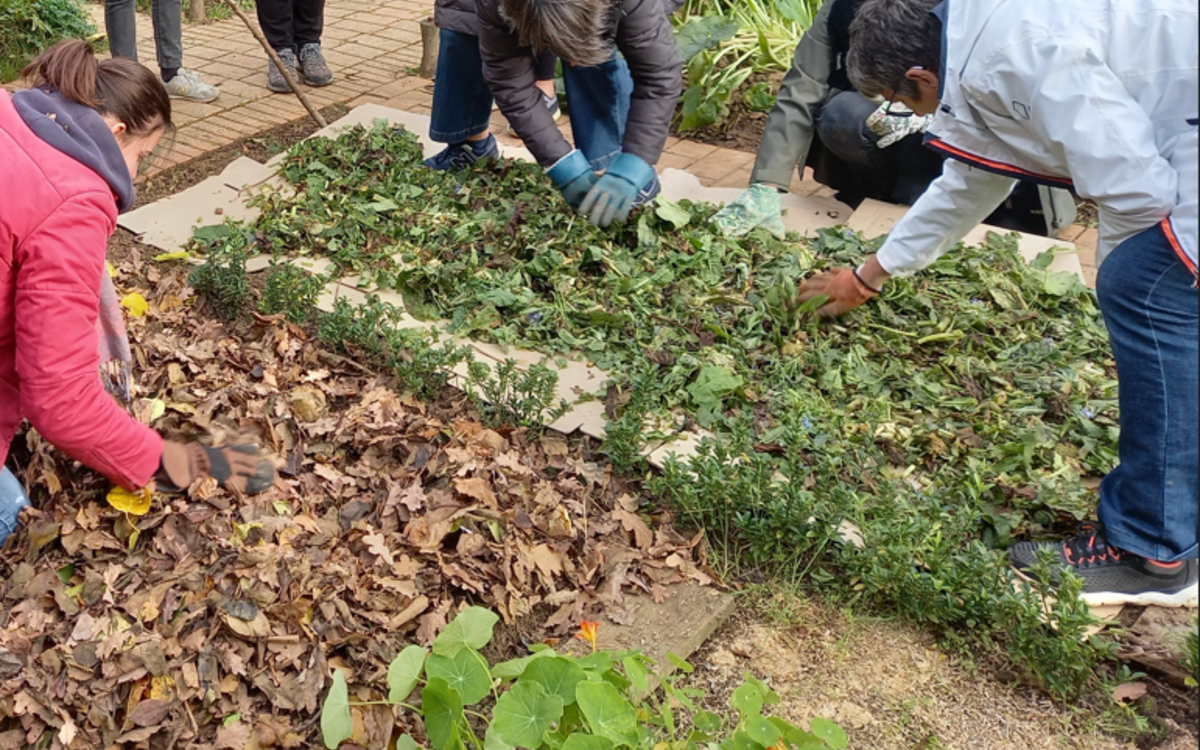 Le paillage en jardinage biologique Maison du Jardinage - Pôle ressource Jardinage Urbain Paris 12ème