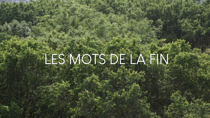 Projection : Les mots de la fin Les Champs Libres Rennes