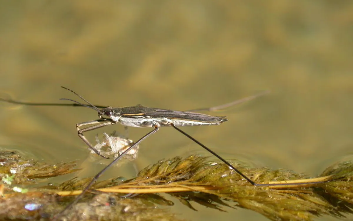 Les propriétés de l’eau dans la nature Maison Paris Nature Paris