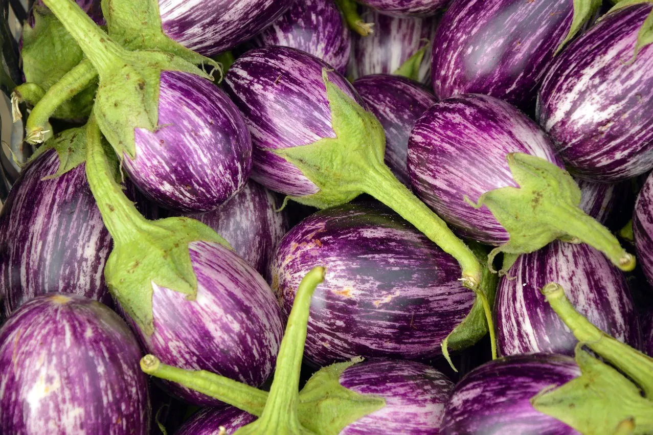 Marché des Longes Limoges