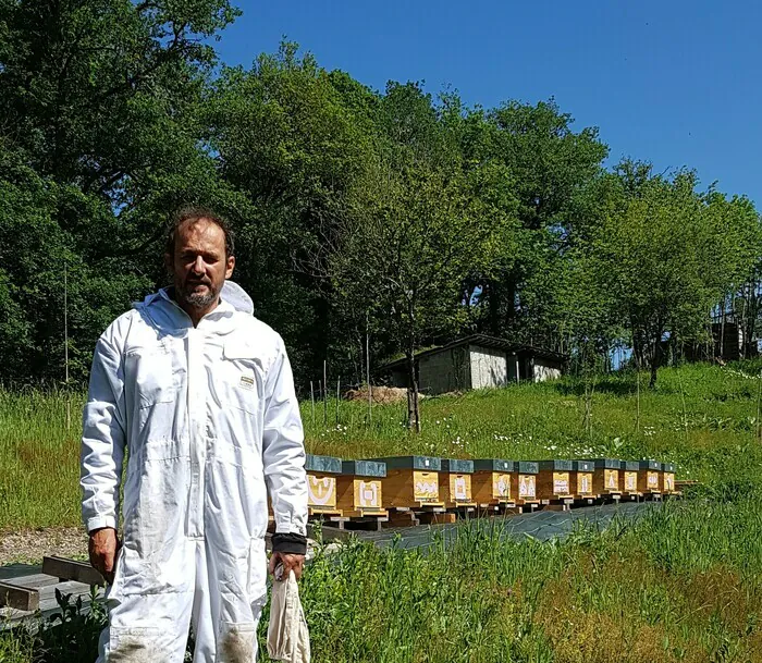 Plantes médicinales et apiculture L'Or des Simpes Rancon