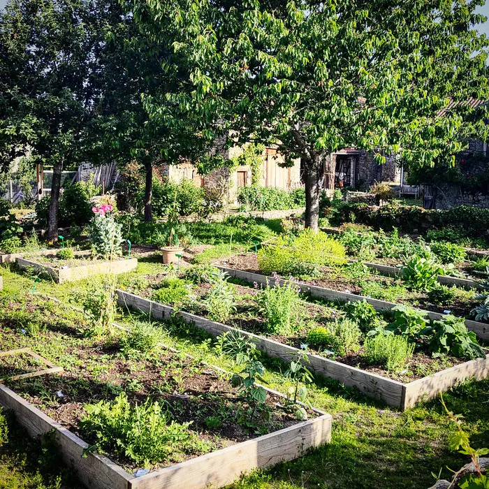 Visite guidée gustative et sensorielle du jardin botanique de plantes aromatiques et médicinales du Limousin ! L'or des simples Rancon