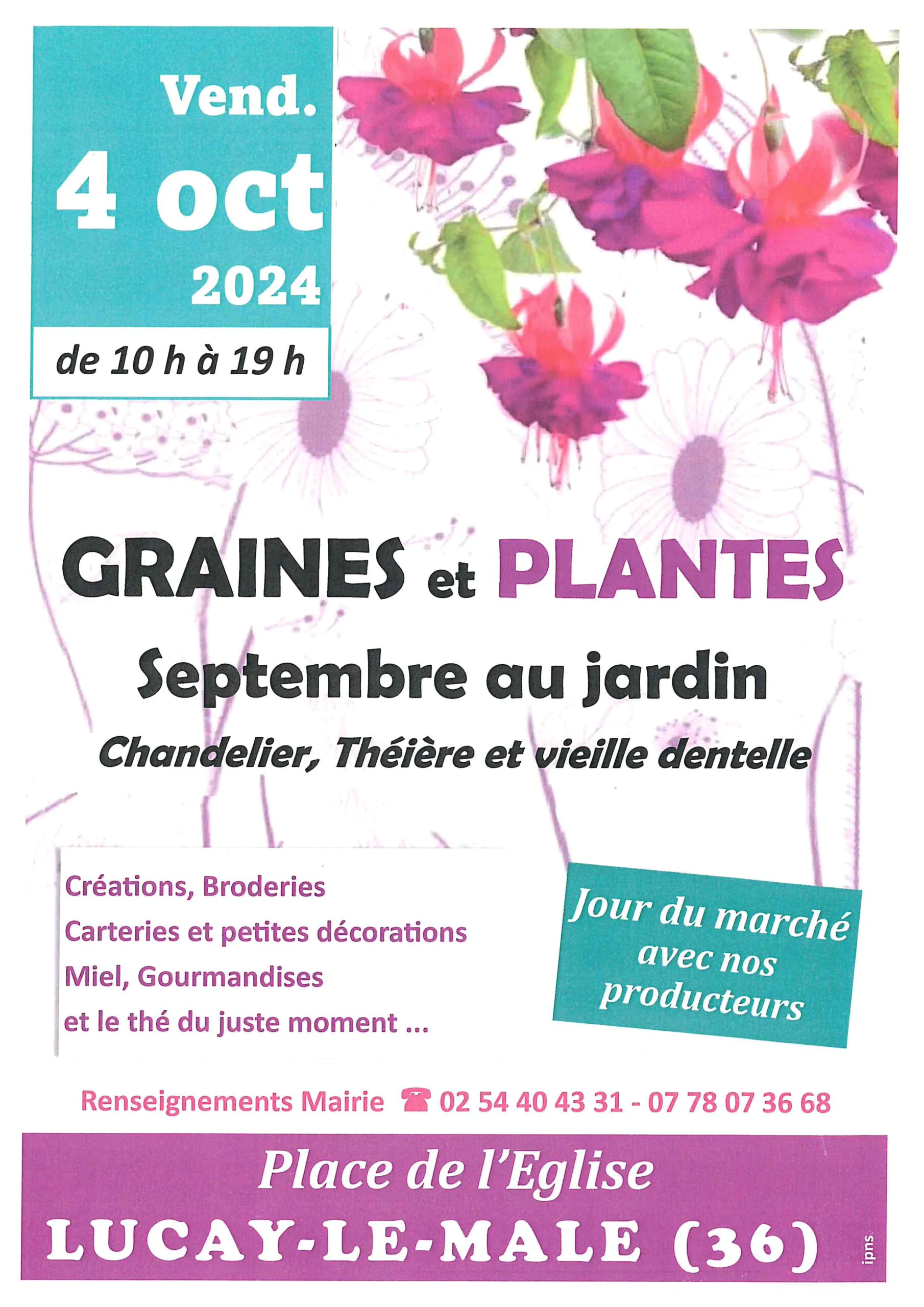 Graines et plantes