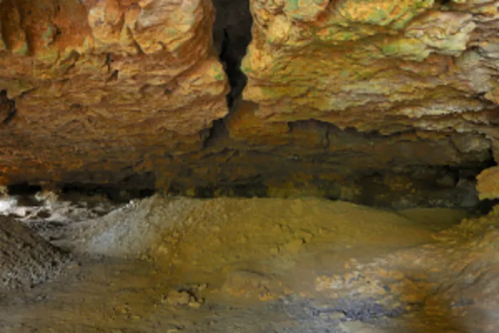 Balade préhisto' "Du musée aux grottes"