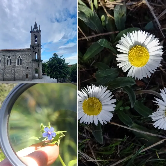 Balade botanique sensitive Mairie de Zonza Zonza