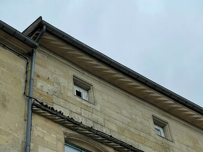 Présentation d'une maison de maître au fil des siècles Maison de maître Bar-le-Duc