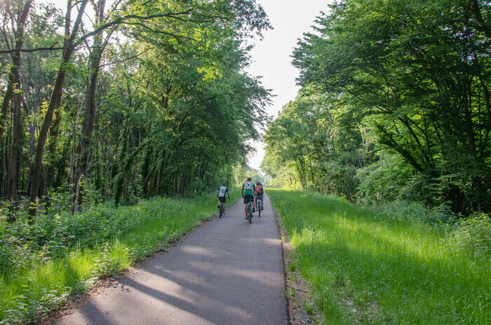 Balade artistique à vélo "Le long de la Grivette" mareuil-sur-ourcq Mareuil-sur-Ourcq