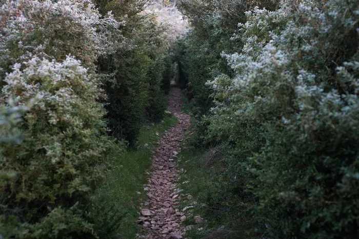 Exposition "Sur les sentiers" Médiathèque du Sud Aveyron Millau