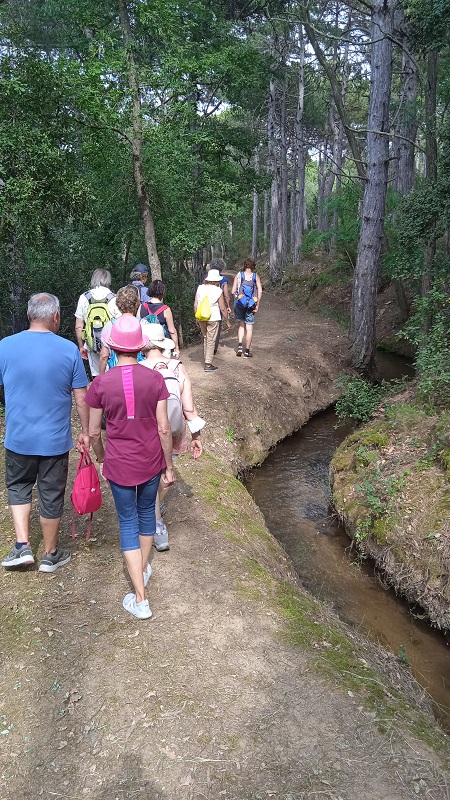 LES BALADES DU CONFLENT "AU FIL DE L'EAU DE BOHERE"