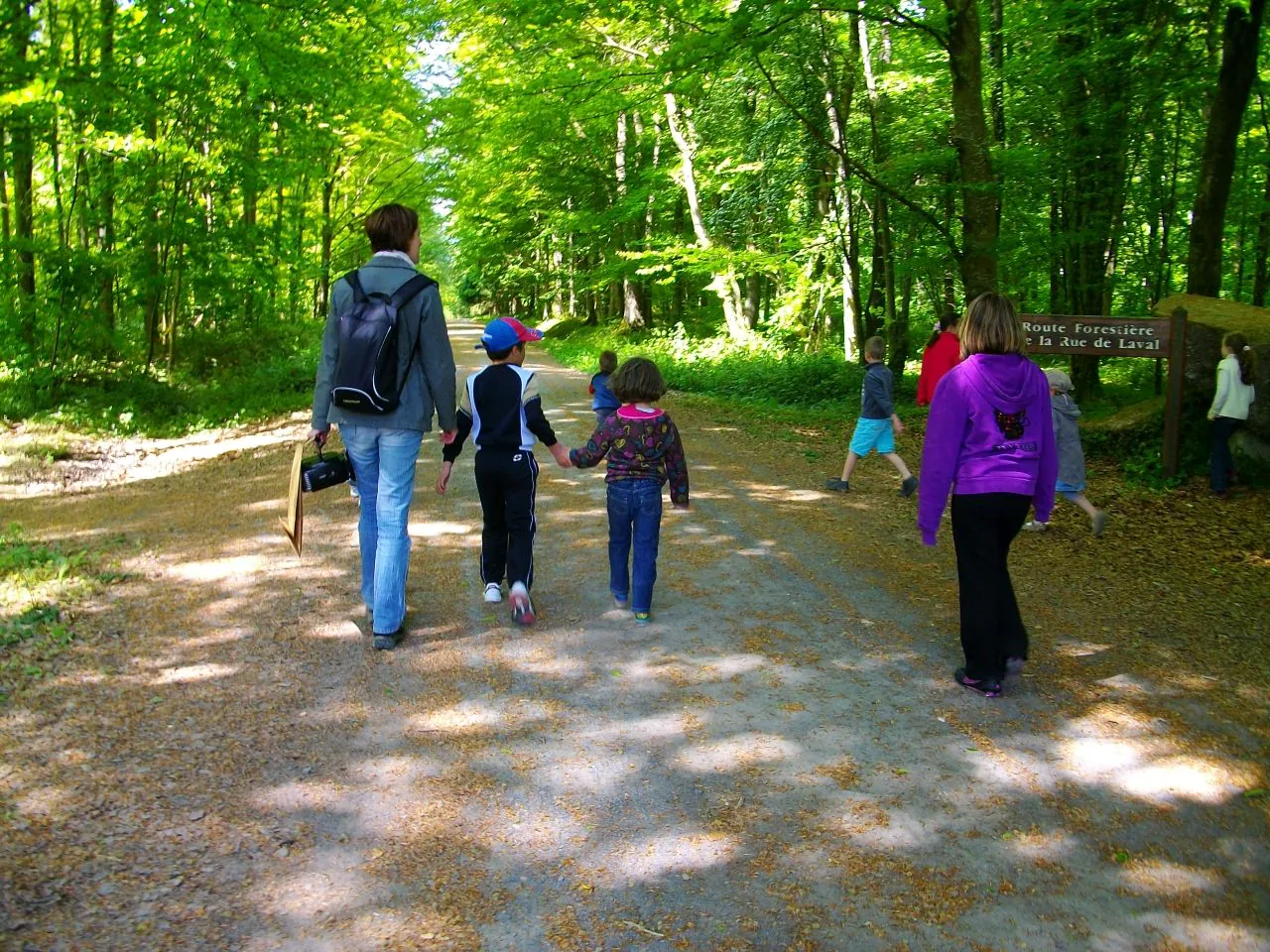 Randonnée "La forêt pendant la guerre"