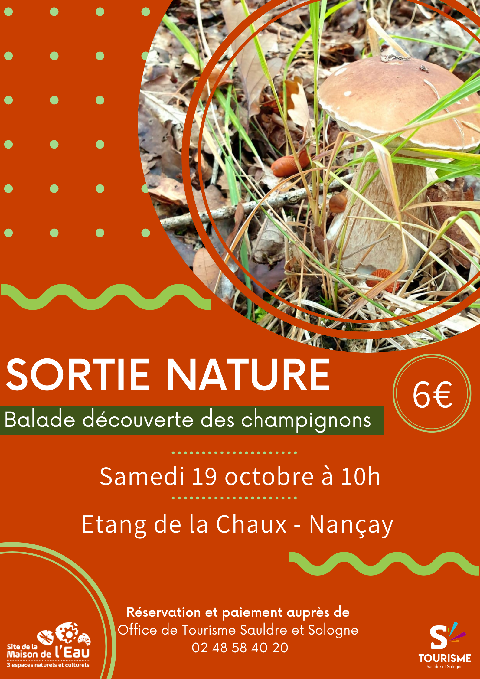 Sortie Nature Balade découverte des champignons