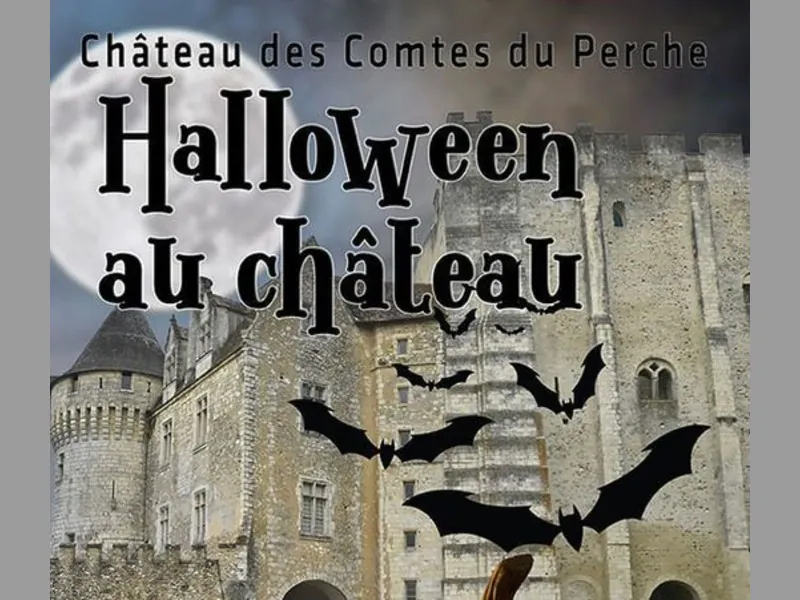 Vacances d'automne 2024 au Château  I Jeu de l'intrus au musée