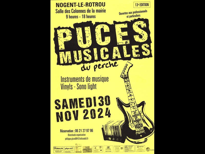 Puces musicales du Perche | 13e édition !