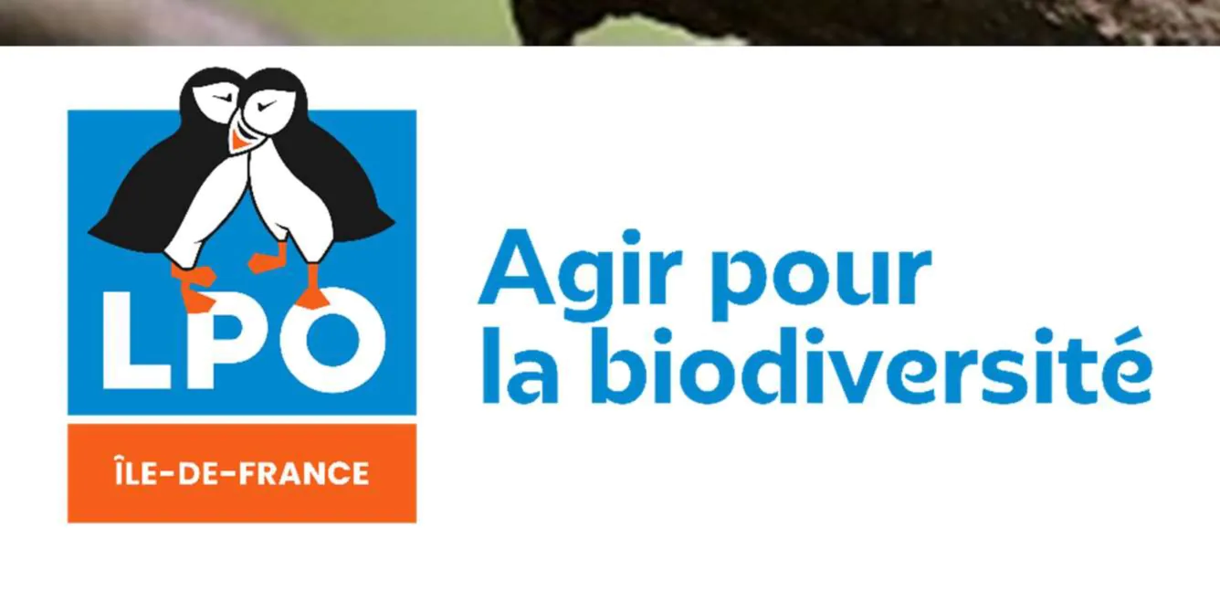 Logo de la LPO d'île de france - Agir pour la biodiversité. Image de 2 macareux s'enlaçant