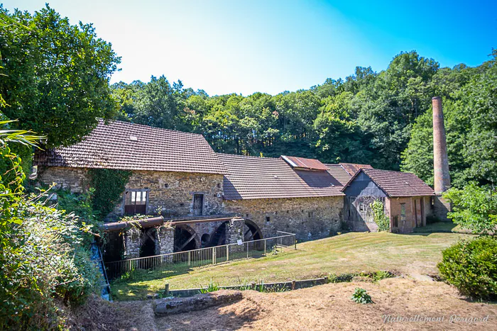 Visite et démonstration à la Papeterie de Vaux Papeterie de vaux - Ecomusée du papier de paille Payzac