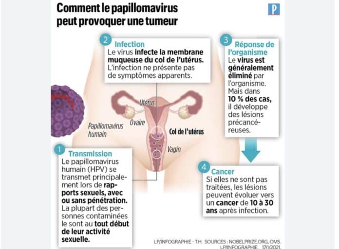 Papillomavirus Bretagne