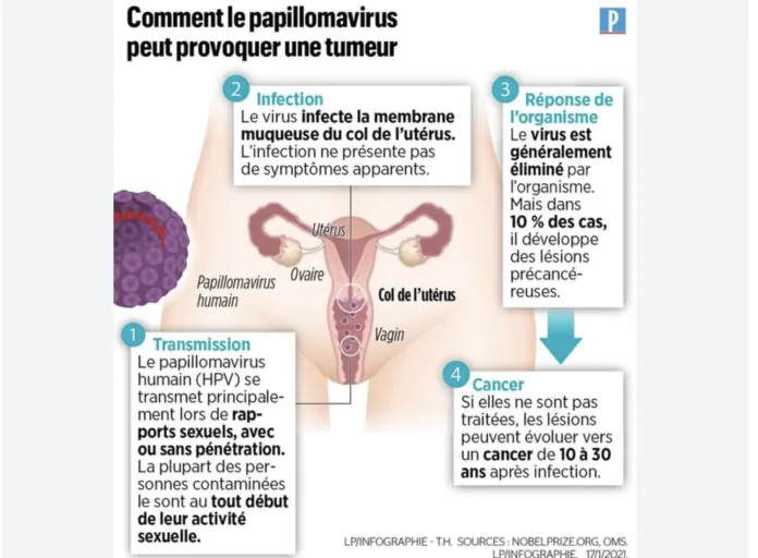 Papillomavirus Bretagne