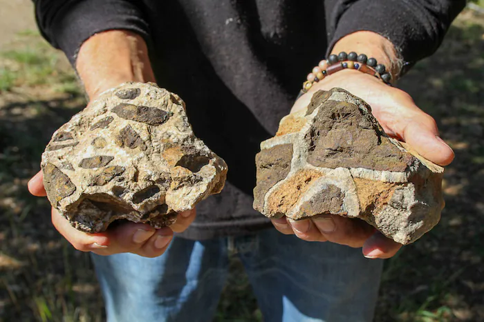 Découvrez les vestiges de mines de fer : « Le Montargull » Parking à l'entrée de Palalda Palalda