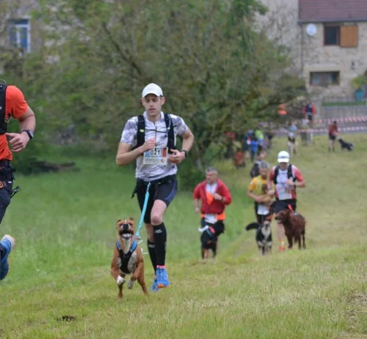 Festival Résurgence VIII "Randonnée pour bouger avec son chien"