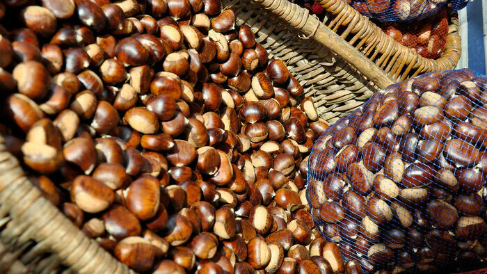 Traditionnelle affachade Place de la Haute-Levade Sainte-Cécile-d'Andorge