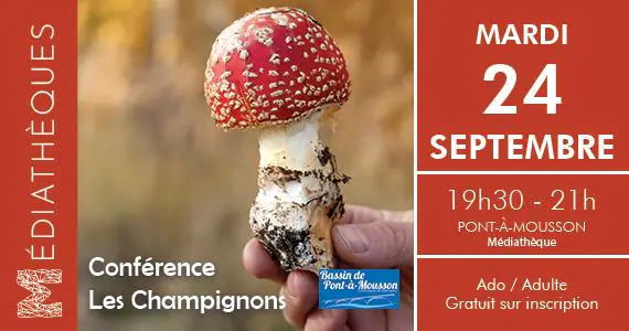 LES CHAMPIGNONS